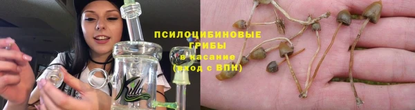 наркотики Алексин