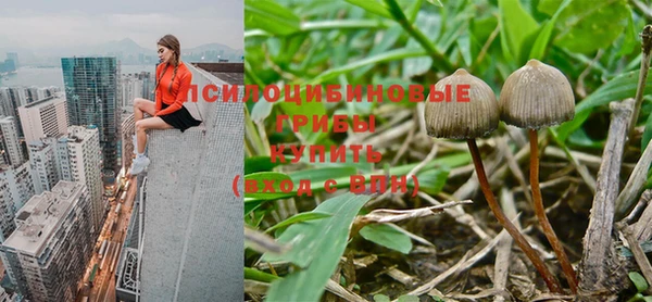 дмт Алзамай