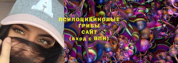 дмт Алзамай