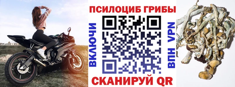 Псилоцибиновые грибы мицелий  ссылка на мегу сайт  Казань 
